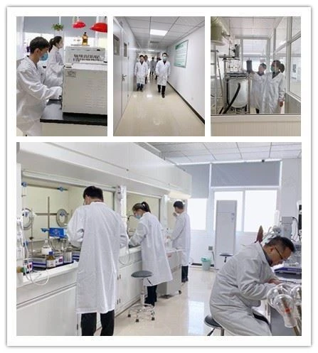 CAS:12039-79-1 | Tantalum Disilicide