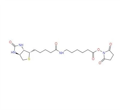 CAS:72040-63-2丨Succinimidyl 6-(biotinamido)hexanoate